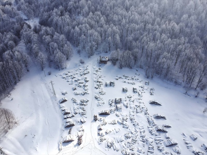 domanic-daglarinin-kar-guzelligi-3 Domaniç Dağları'nın kar güzelliği... Foto Galerisi 