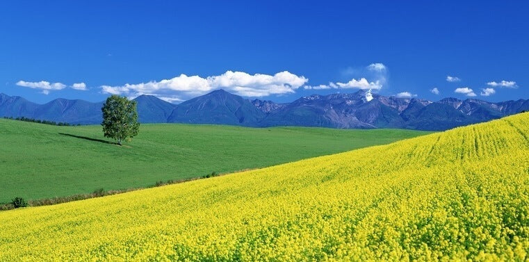 Hava Tahmini ve Hava Durumu Sayfamız...