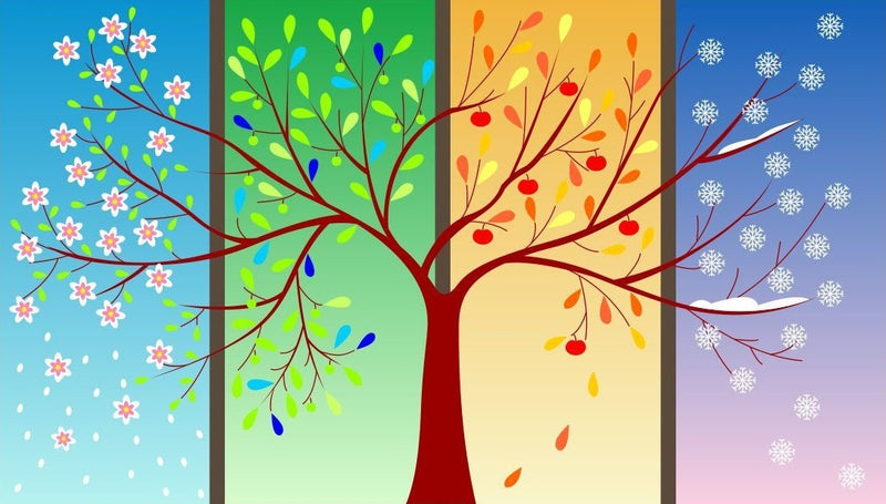 İklim Tipleri Nelerdir?