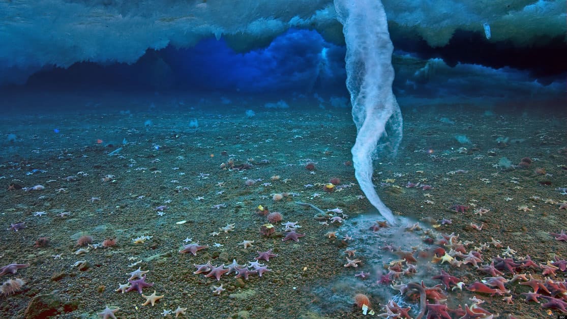 su-alti-buz-sacagi-brinicle-min Ölümcül Su Altı Buz Saçağı Nedir? Nasıl Oluşur? Sözlük  