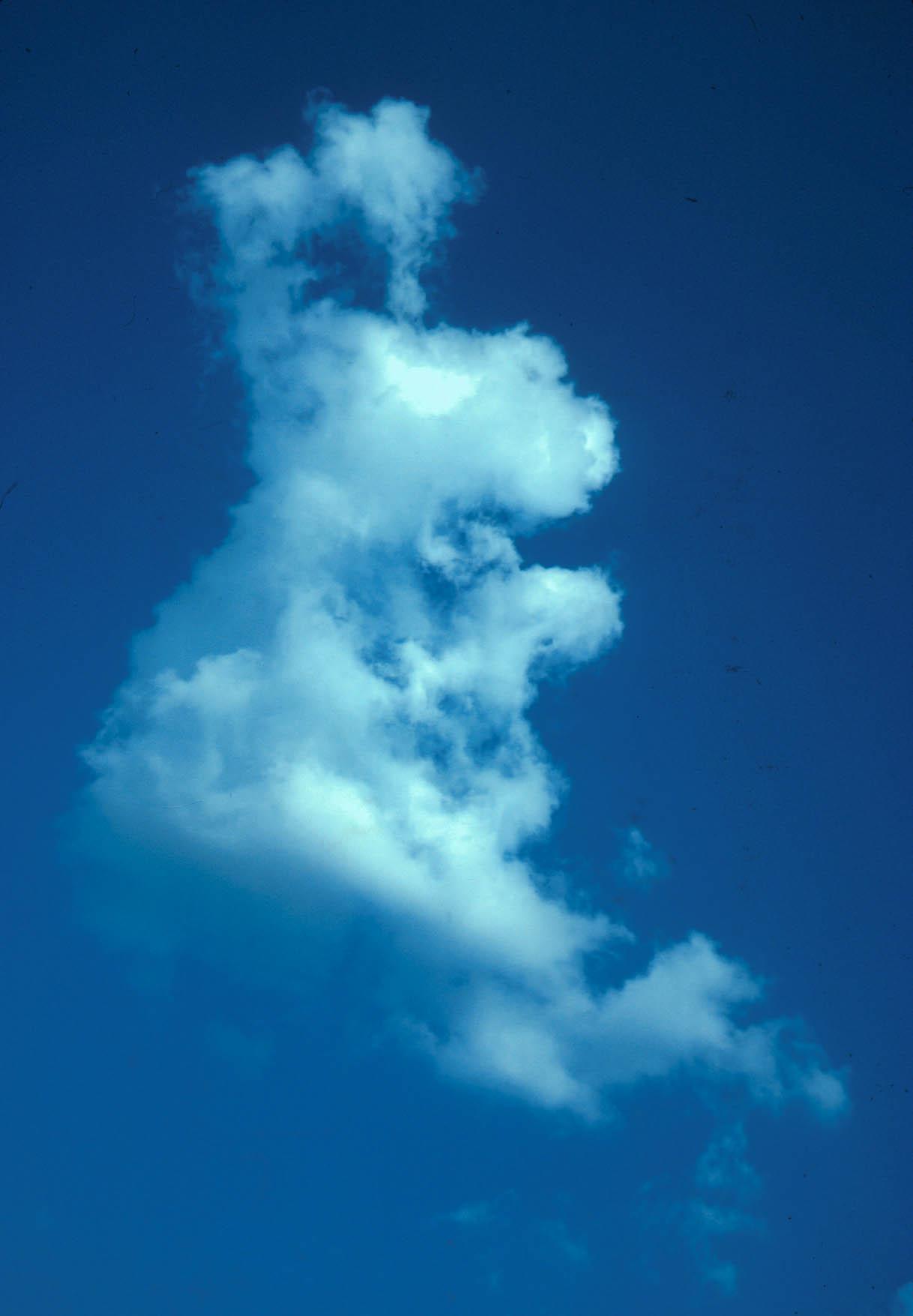 10-1 Doğal oluşmuş hayvan görünümlü bulutlar... Video Galerisi  