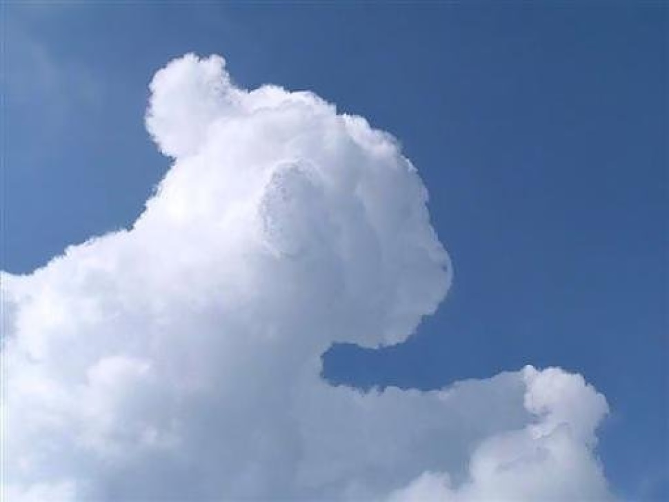 hayvan-gorunumlu-bulutlar-dogal-2 Doğal oluşmuş hayvan görünümlü bulutlar... Video Galerisi 