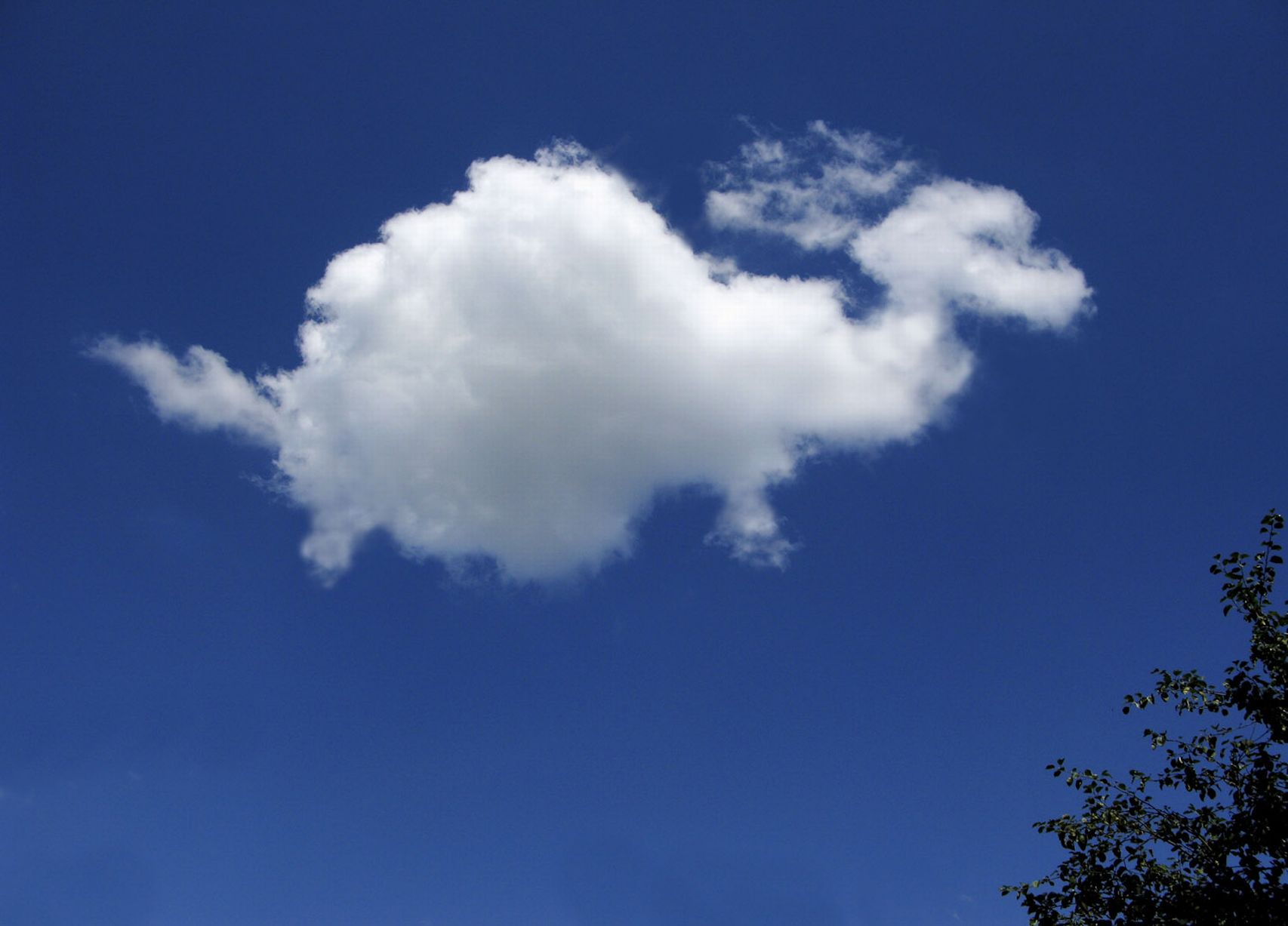 hayvan-gorunumlu-bulutlar-dogal-7 Doğal oluşmuş hayvan görünümlü bulutlar... Video Galerisi  