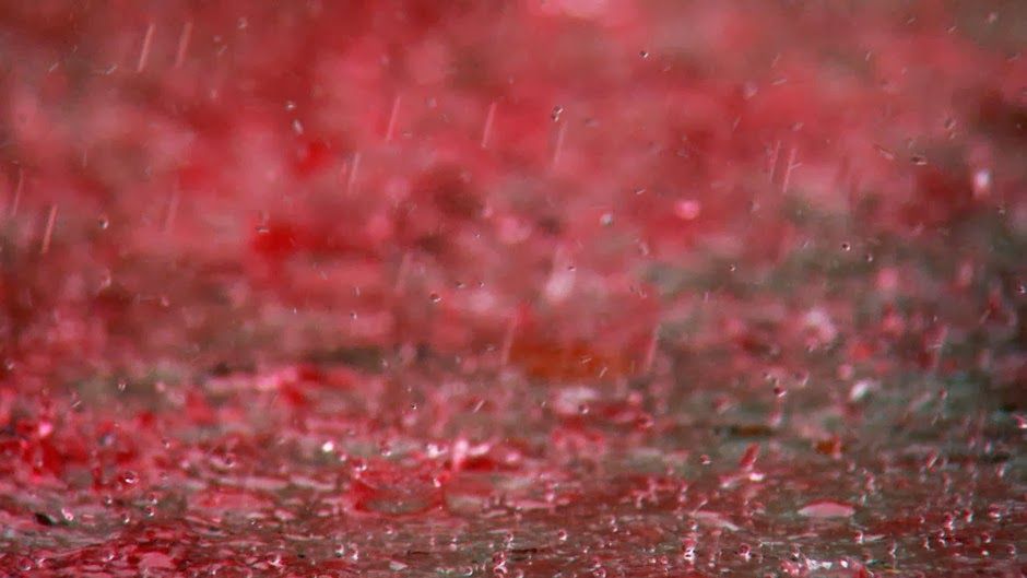 kan-yagmuru-1 Kan Yağmuru Nedir? Sözlük  