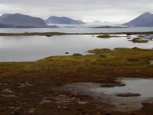 svalbard-adasi-300x225 Svalbard'da Ortalama Sıcaklık Dünya Ortalamasından 6 Kat Hızlı Artıyor! Haberler  