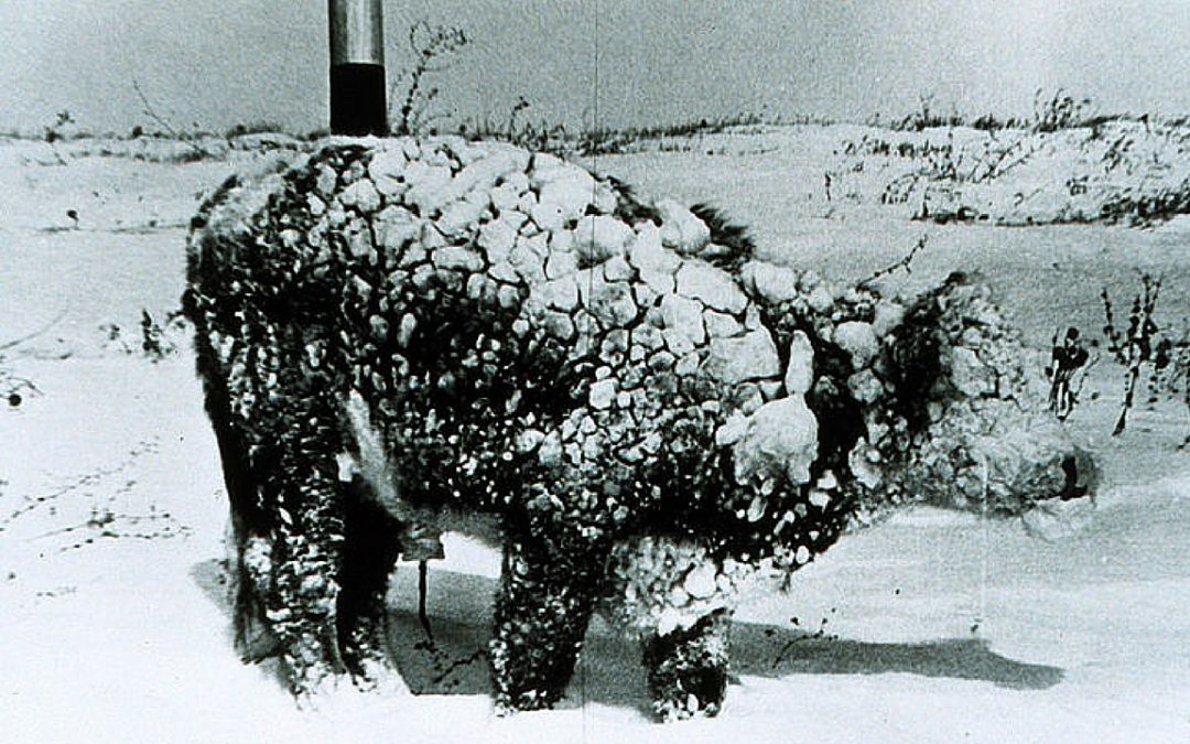 Tarihi Ölümcül Kar Fırtınası 1972 İran: 8 Metre Kar, 4000 Ölü!